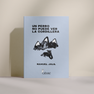 Un perro no puede ver la Cordillera