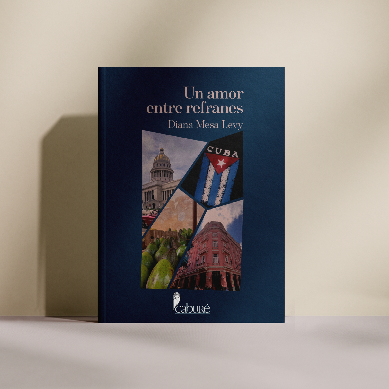 Un amor entre refranes