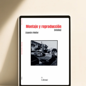 Montaje y reproducción | Ebook formato Kindle