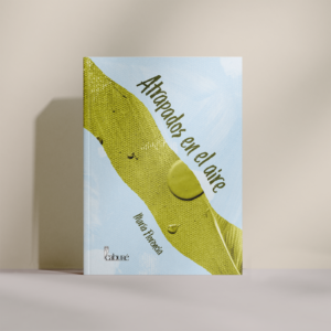 Atrapados en el aire