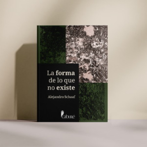 La forma de lo que no existe